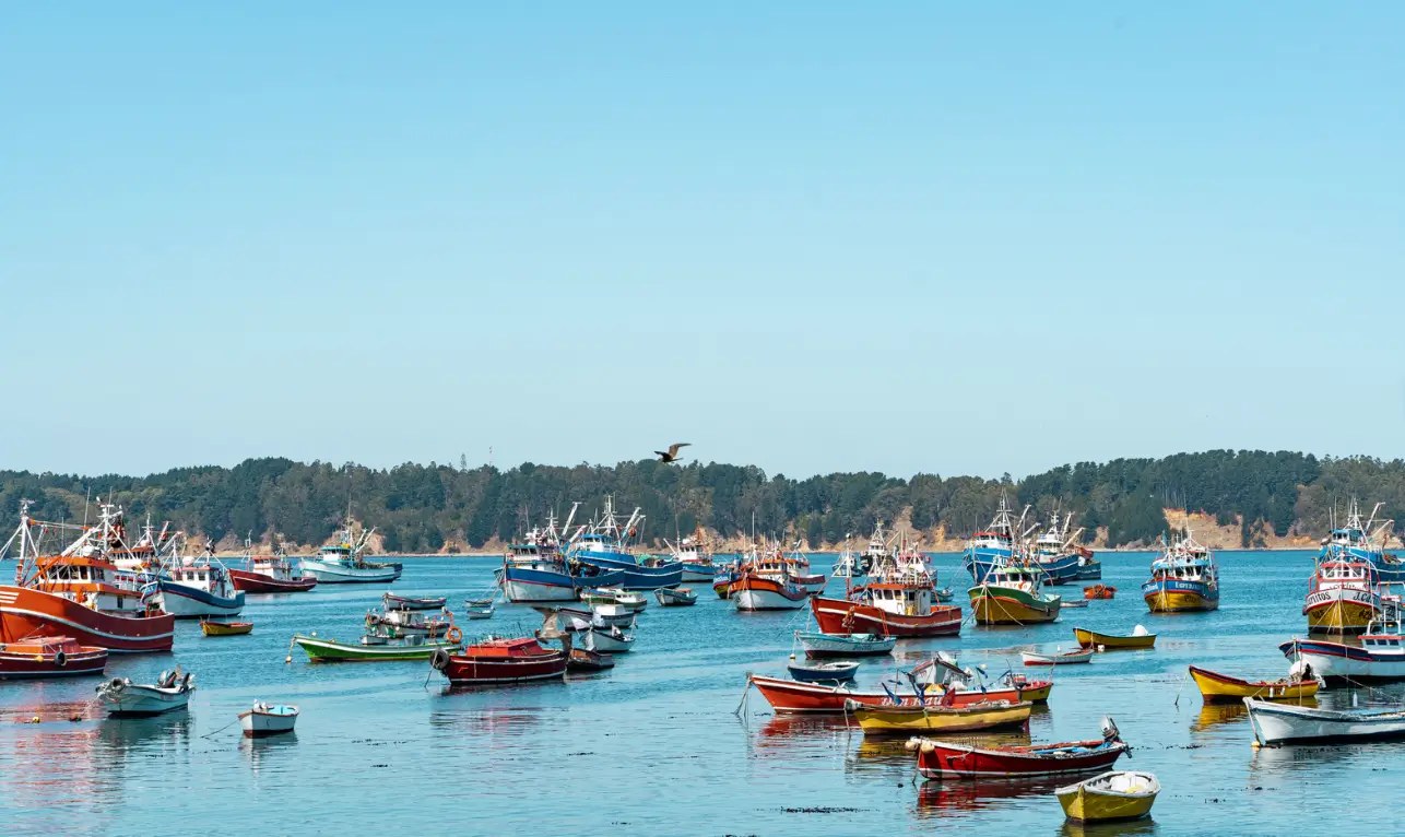 Puerto de San Vicente